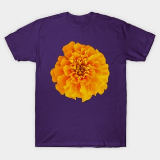 Orange Marigold Nature Floral Photo T-Shirt